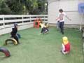 playing20with20mr-robbie-7707058-7044034-6291974